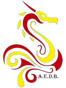 Asociación Española Dragon Boat